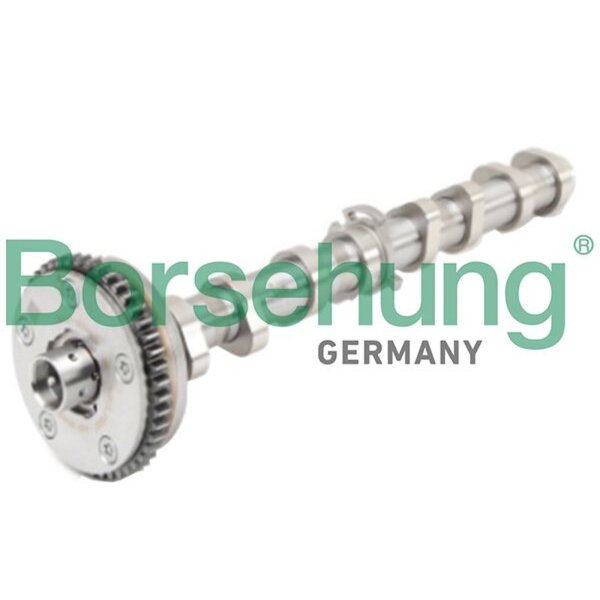 Borsehung B18979 Nockenwelle