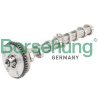 Borsehung B18979 Nockenwelle