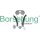 Borsehung B16296 Steuerkettensatz