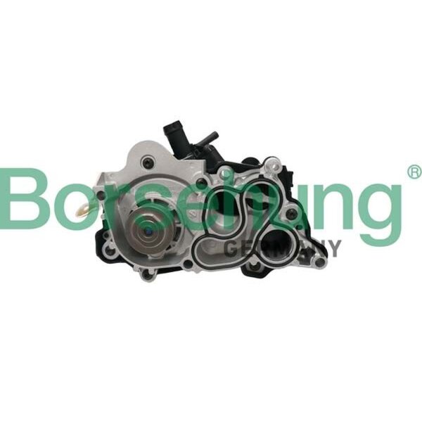 Borsehung B12692 Wasserpumpe, Motorkühlung