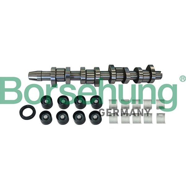 Borsehung B11307 Nockenwellensatz