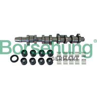 Borsehung B11307 Nockenwellensatz