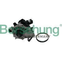 Borsehung B19205 Wasserpumpe, Motorkühlung