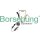 Borsehung B18846 Steuerkettensatz