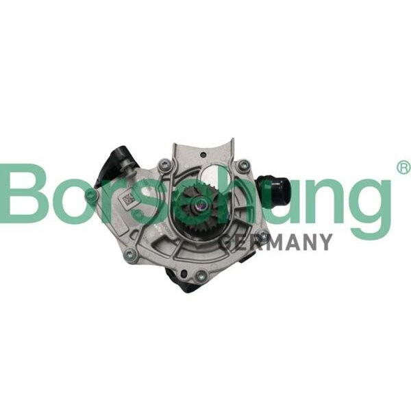 Borsehung B11209 Wasserpumpe, Motorkühlung