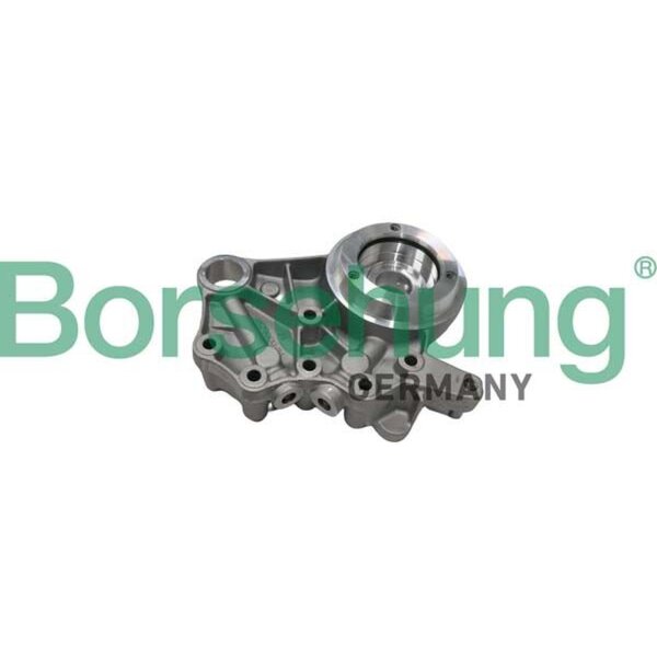 Borsehung B19307 Nockenwellenlager