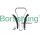 Borsehung B17991 Steuerkettensatz