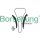 Borsehung B19229 Steuerkettensatz
