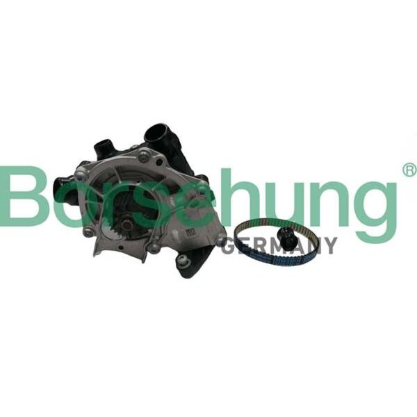Borsehung B11210 Wasserpumpe, Motorkühlung