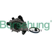 Borsehung B11210 Wasserpumpe, Motorkühlung