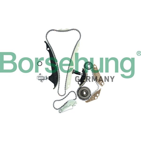 Borsehung B19209 Steuerkettensatz