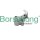 Borsehung B18202 Spanner, Steuerkette