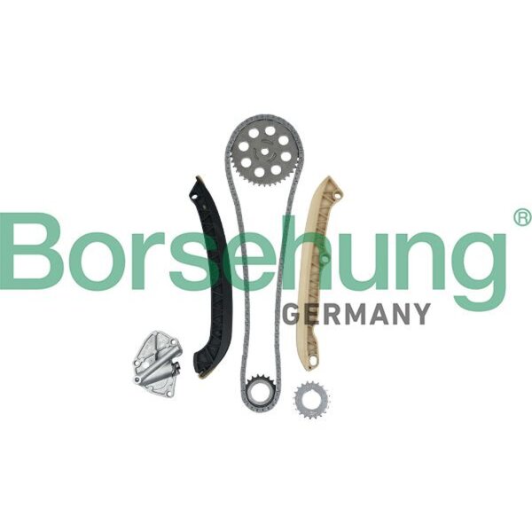 Borsehung B16294 Steuerkettensatz