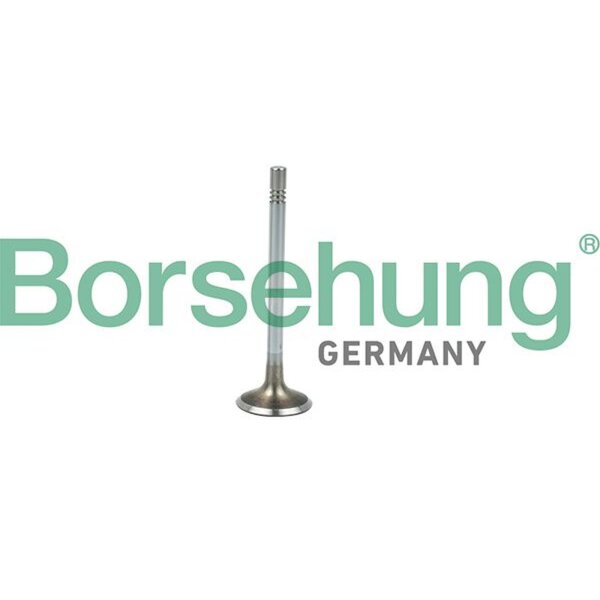 Borsehung B19021 Einlassventil