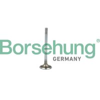Borsehung B19021 Einlassventil