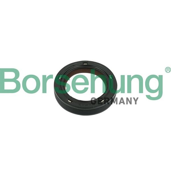 Borsehung B18729 Wellendichtring, Nockenwelle