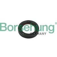 Borsehung B18729 Wellendichtring, Nockenwelle