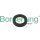 Borsehung B18729 Wellendichtring, Nockenwelle