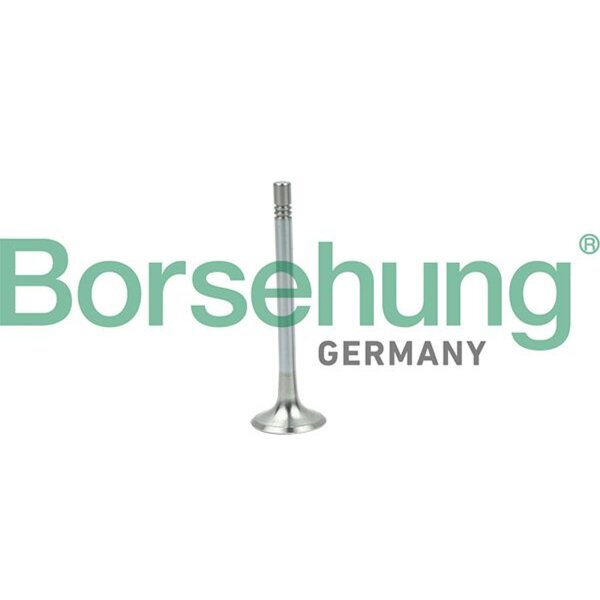 Borsehung B19004 Auslassventil