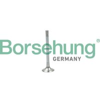 Borsehung B19004 Auslassventil