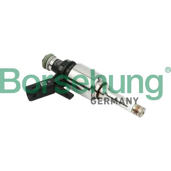 Borsehung B16924 Einspritzventil