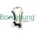 Borsehung B19296 Steuerkettensatz