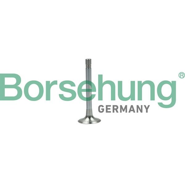 Borsehung B19003 Auslassventil