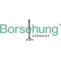 Borsehung B19003 Auslassventil