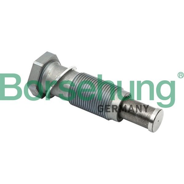 Borsehung B1T012 Spanner, Steuerkette