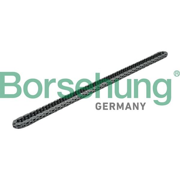 Borsehung B16301 Steuerkette