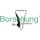 Borsehung B10203 Steuerkettensatz