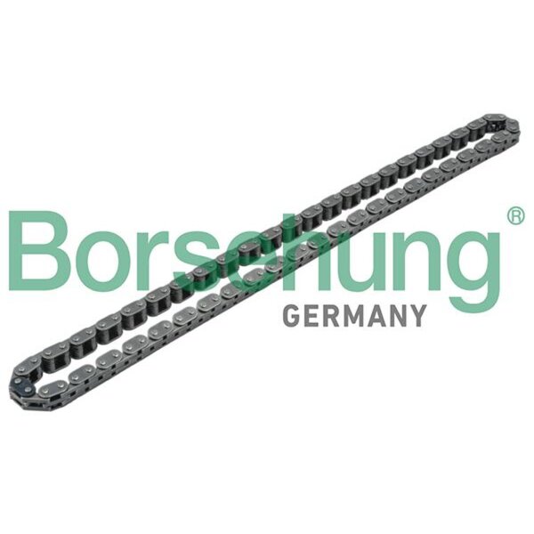 Borsehung B1C001 Steuerkette