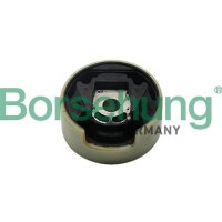 Borsehung B11355 Lagerung, Achskörper