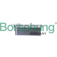 Borsehung B10880 Ladeluftkühler