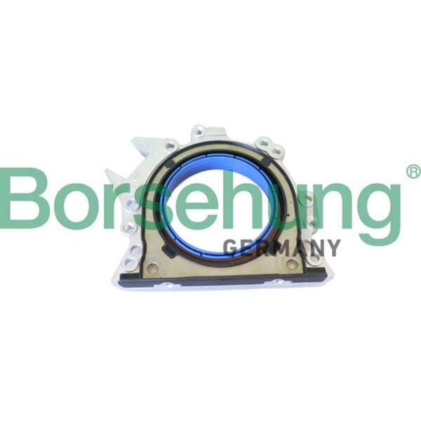 Borsehung B19244 Wellendichtring, Kurbelwelle
