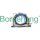 Borsehung B19244 Wellendichtring, Kurbelwelle