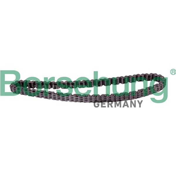 Borsehung B12184 Steuerkette