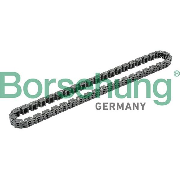 Borsehung B1C015 Steuerkette