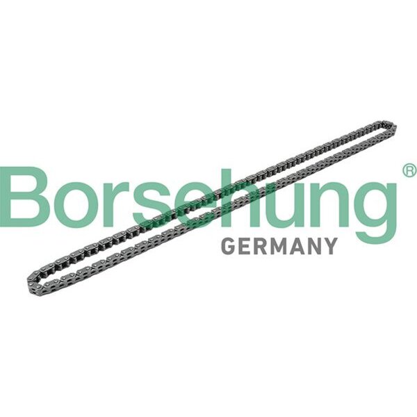 Borsehung B1C019 Steuerkette