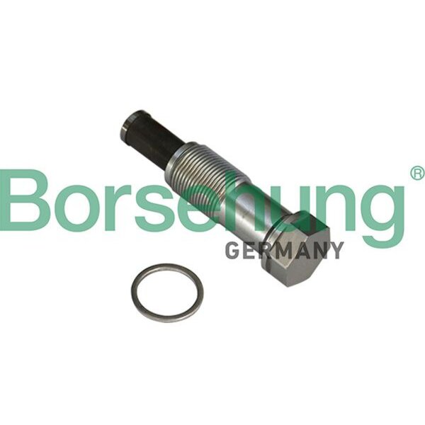 Borsehung B1T020 Spanner, Steuerkette