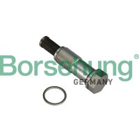 Borsehung B1T020 Spanner, Steuerkette