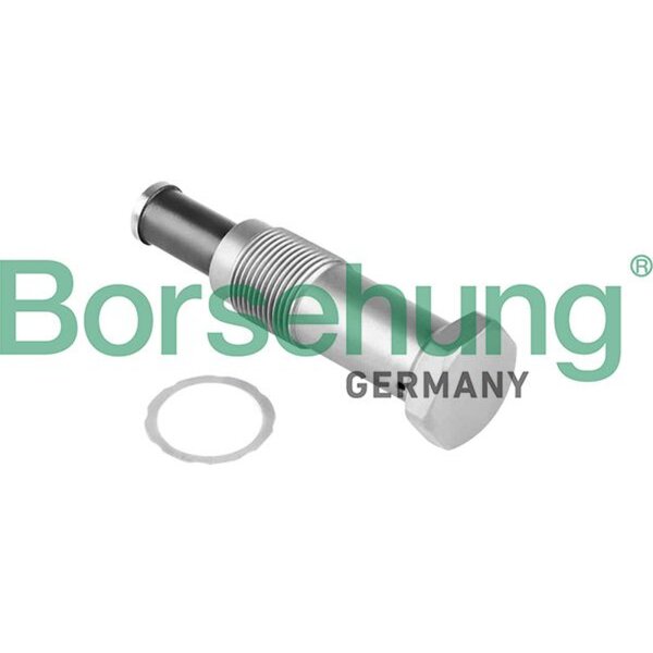 Borsehung B1T022 Spanner, Steuerkette