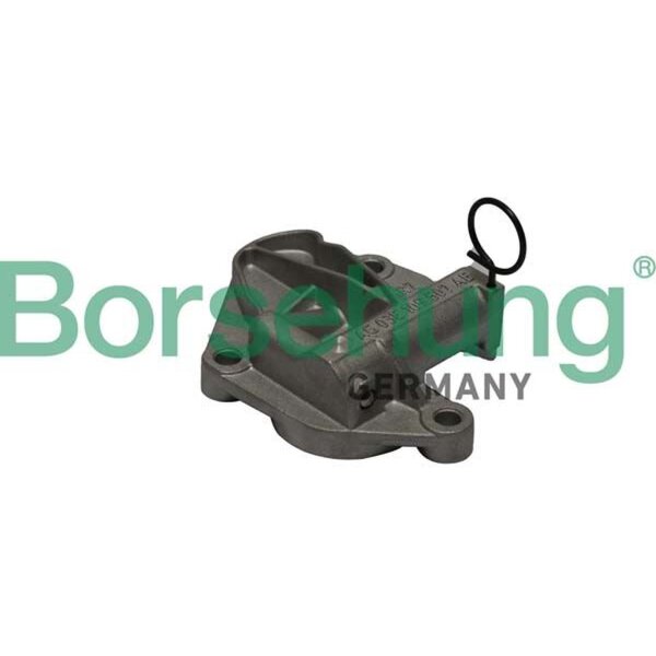 Borsehung B1T003 Spanner, Steuerkette