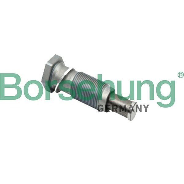 Borsehung B1T002 Spanner, Steuerkette