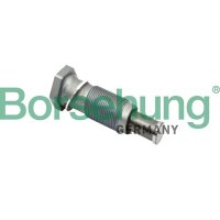 Borsehung B1T002 Spanner, Steuerkette