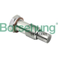 Borsehung B1T014 Spanner, Steuerkette