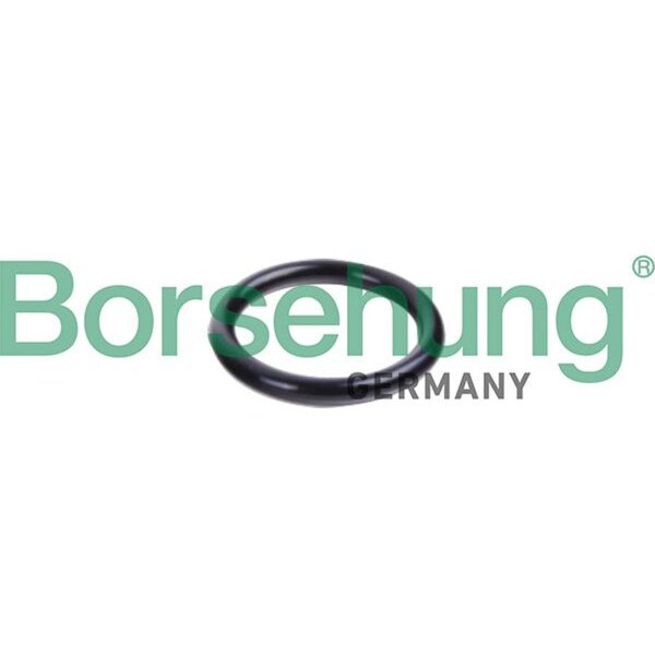 Borsehung B10632 Dichtring, Kühlmittelrohrleitung