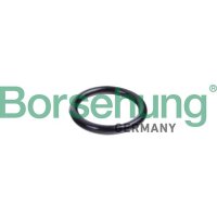 Borsehung B10632 Dichtring, Kühlmittelrohrleitung