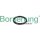 Borsehung B10632 Dichtring, Kühlmittelrohrleitung