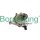 Borsehung B12223 Unterdruckpumpe, Bremsanlage